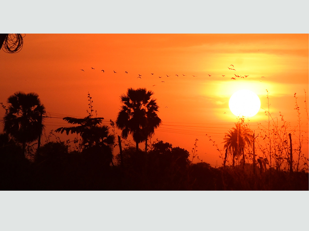 Best Photos of the week February 23-02 2020 - Sakshi31