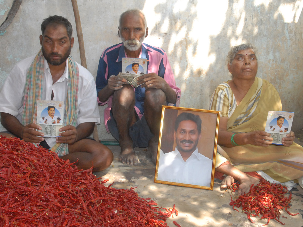 Best Photos of the week February 09-16 2020 - Sakshi9