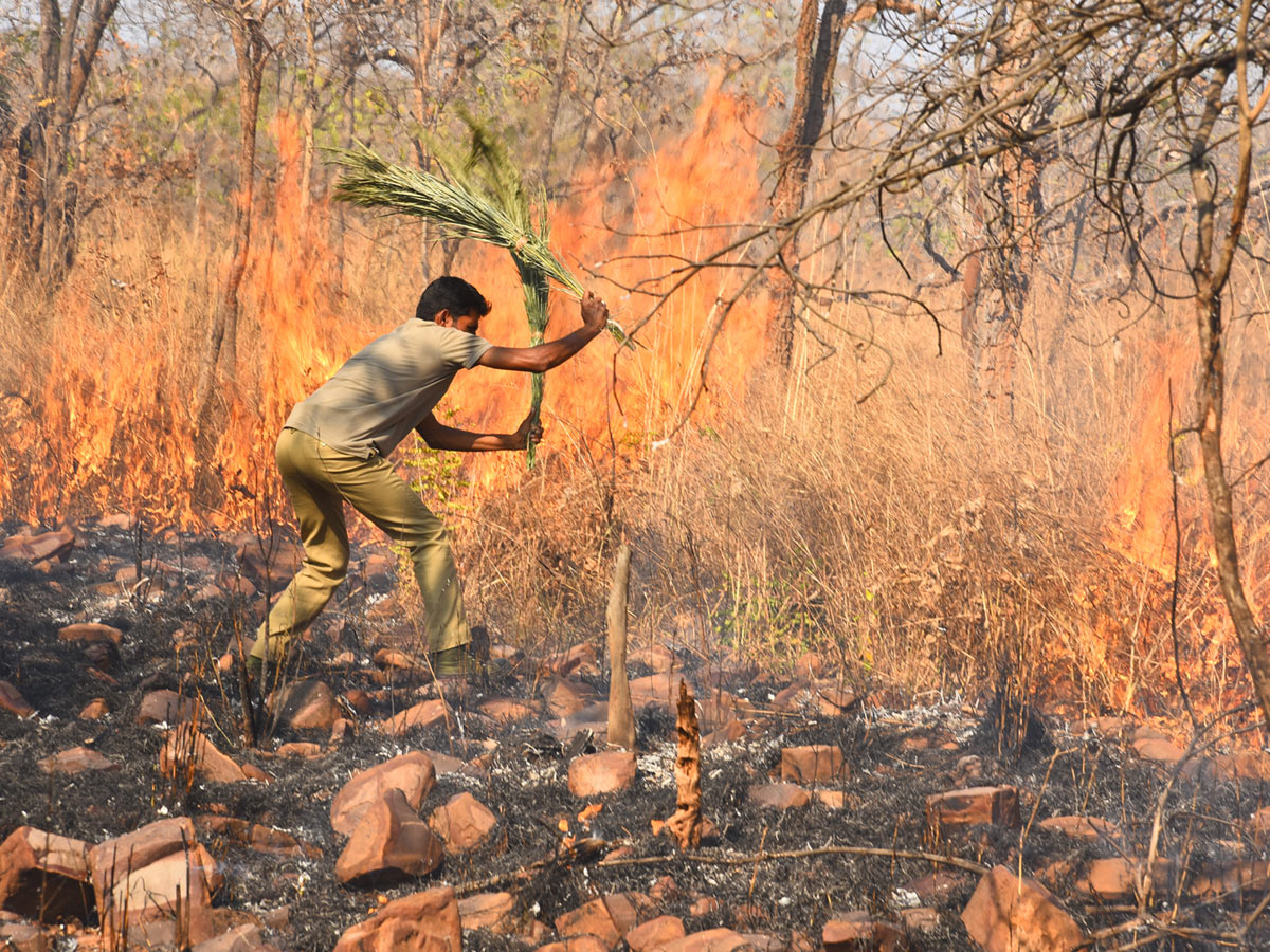 Best Photos of the week February 09-16 2020 - Sakshi18