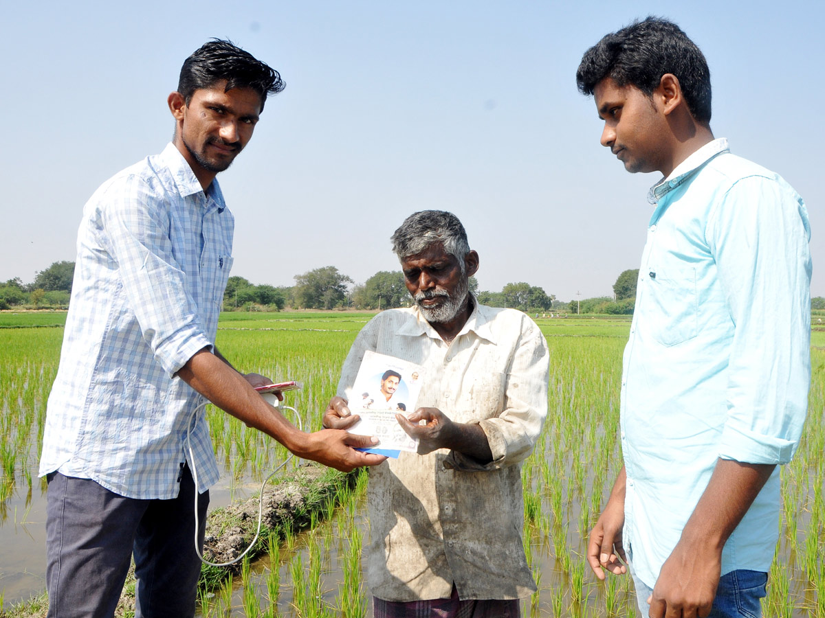 Best Photos of the week February 09-16 2020 - Sakshi3