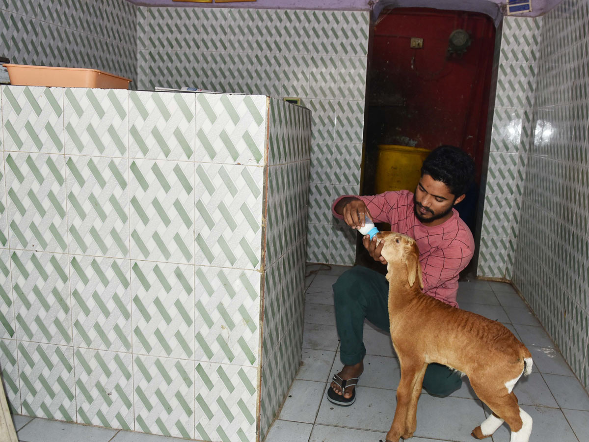 Best Photos of the week February 09-16 2020 - Sakshi5