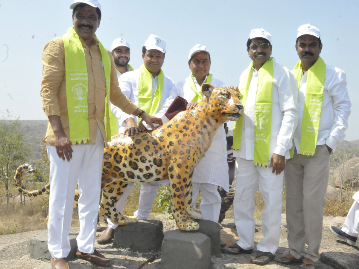 Best photos of the week march 01 to 08,2020 - Sakshi24