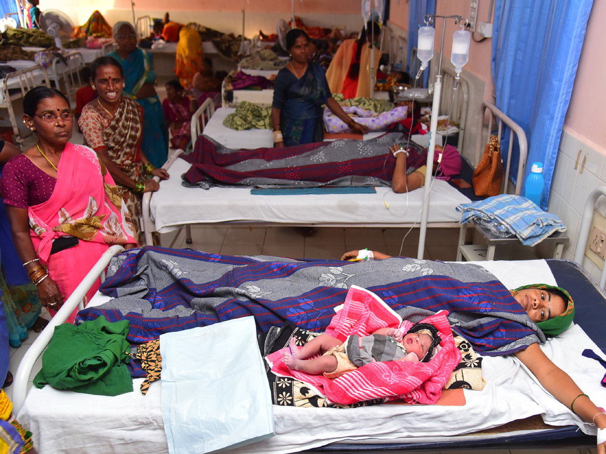 Leap Year 2020 new born babies Photo Gallery - Sakshi29