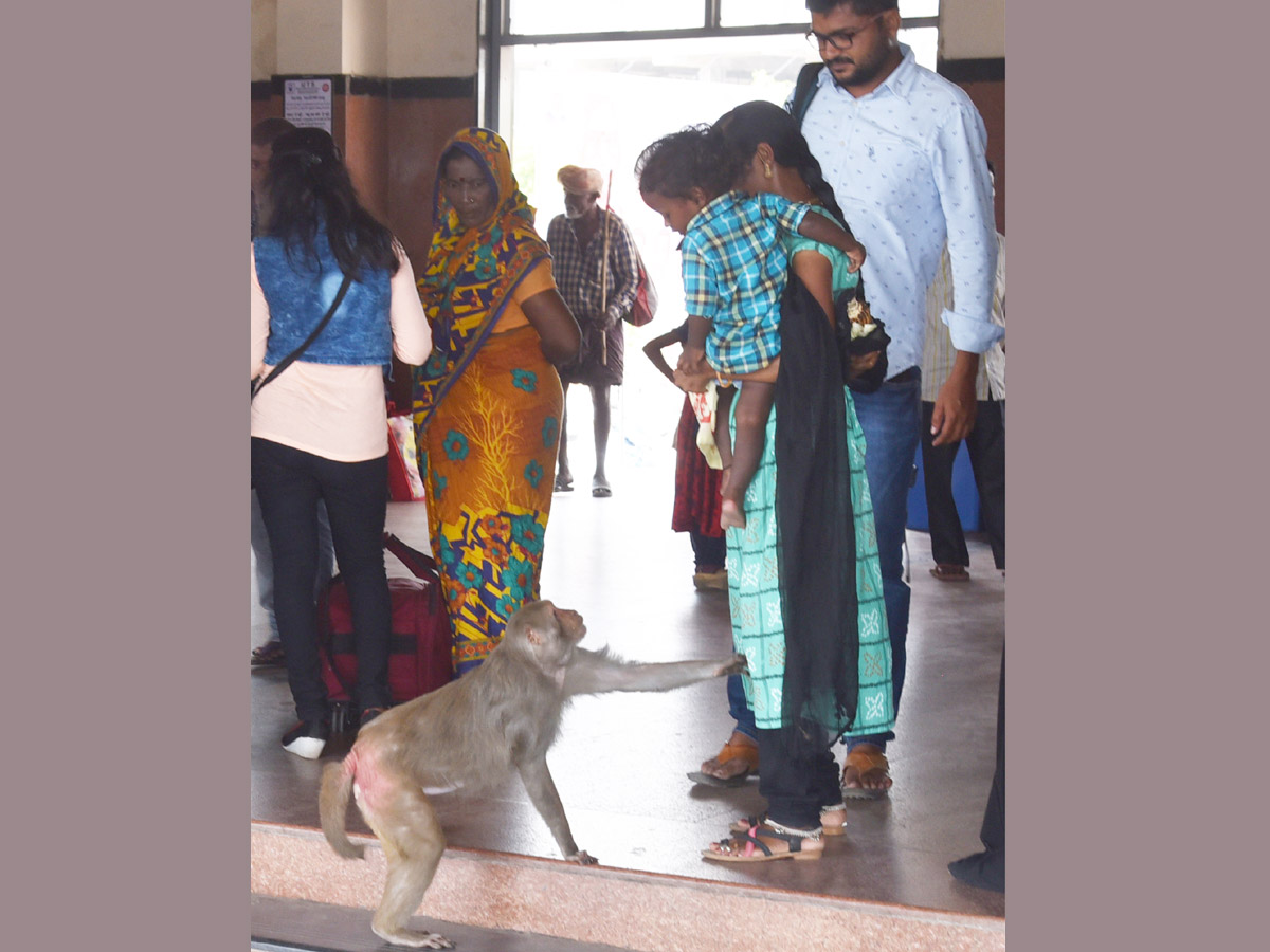 Best photos of the week march 22 to 29,2020 - Sakshi27