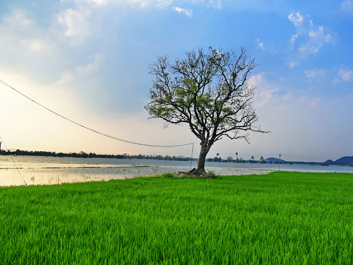 Best photos of the week march 22 to 29,2020 - Sakshi38