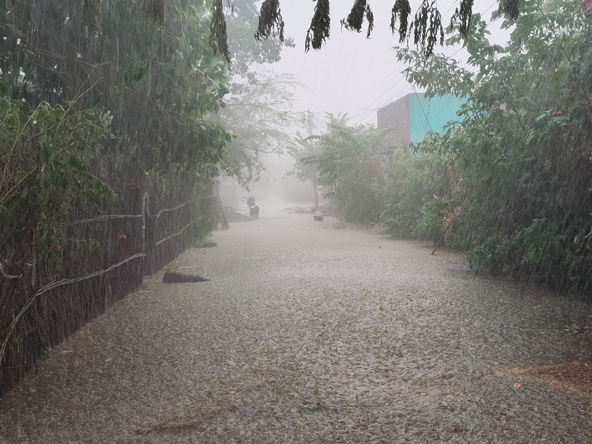 Heavy Rain Andhra Pradesh and Telangana Photo Gallery - Sakshi13