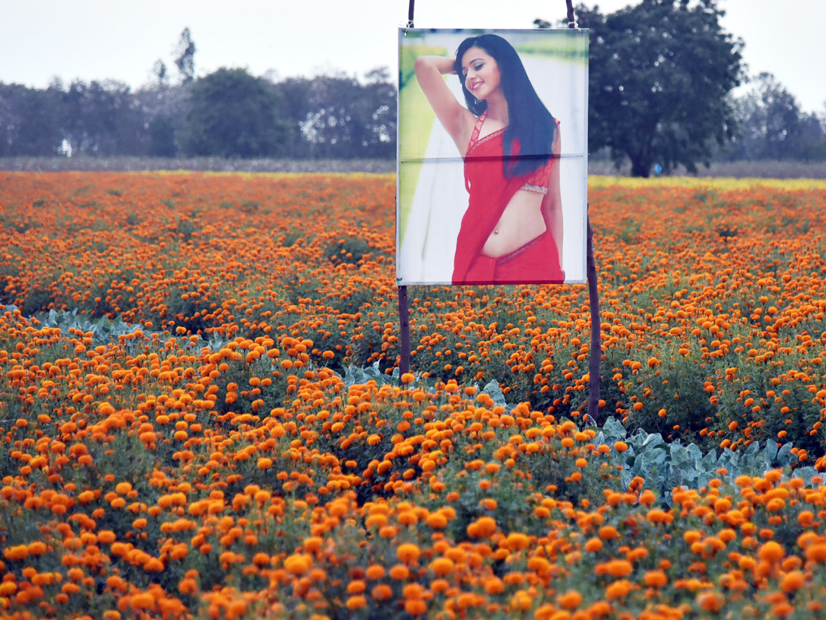 Best photos of the week April 12 to 19,2020 - Sakshi2