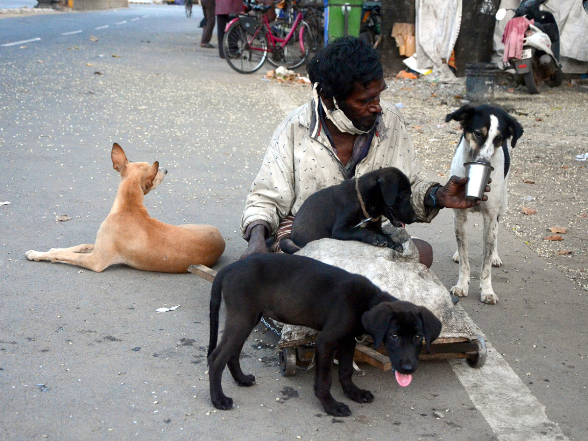 Lockdown in Andhra pradesh Photo Gallery - Sakshi20