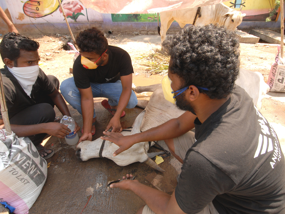 Lockdown in Andhra pradesh Photo Gallery - Sakshi31