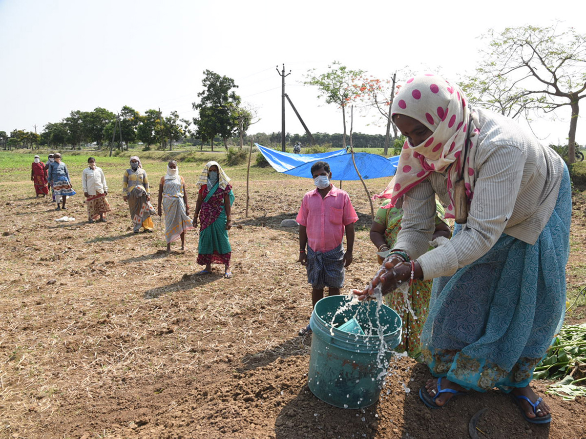 Lockdown in Andhra pradesh Photo Gallery - Sakshi34