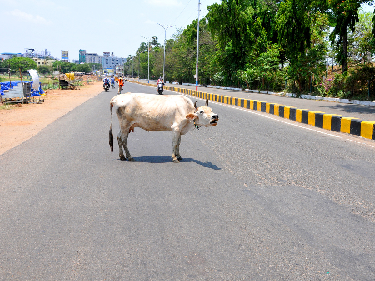 Lockdown in Andhra pradesh Photo Gallery - Sakshi51