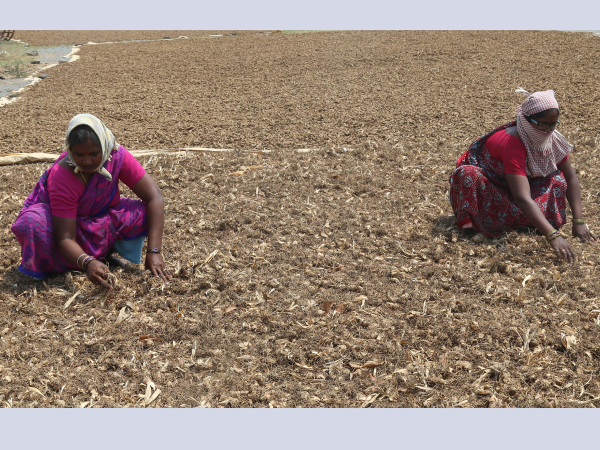 Best photos of the week April 19 to 26,2020  - Sakshi29