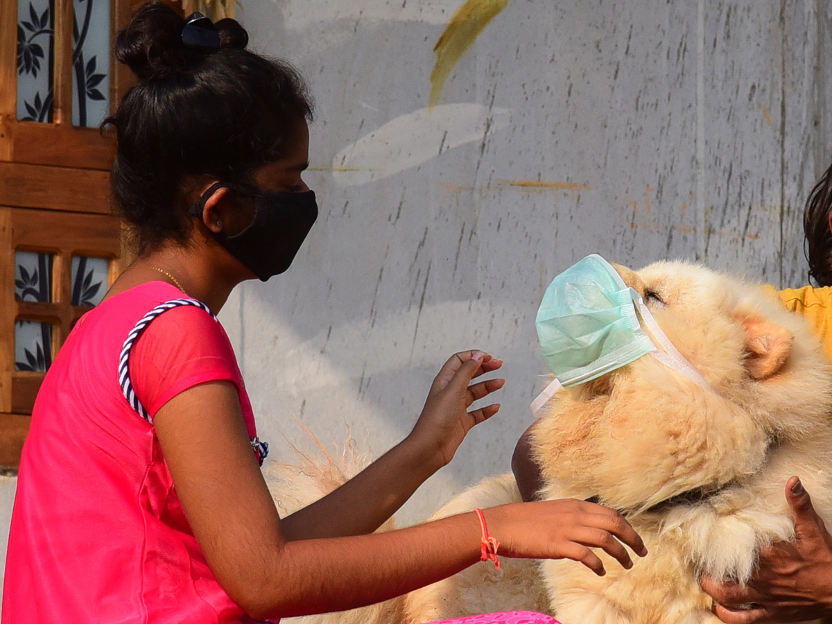 Best photos of the week April 19 to 26,2020  - Sakshi31