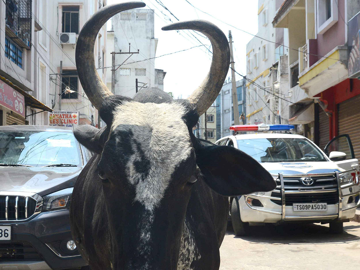 Lockdown in Hyderabad City Photo Gallery - Sakshi41