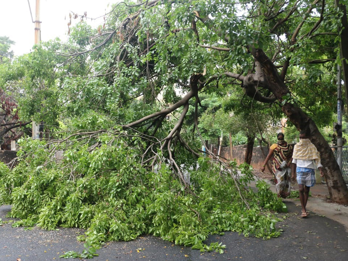 Lockdown in Andhra pradesh Photo Gallery - Sakshi28