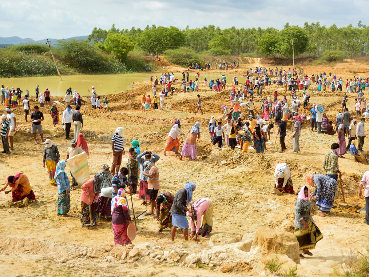 Best photos of the week may 10 to 17,2020 - Sakshi14