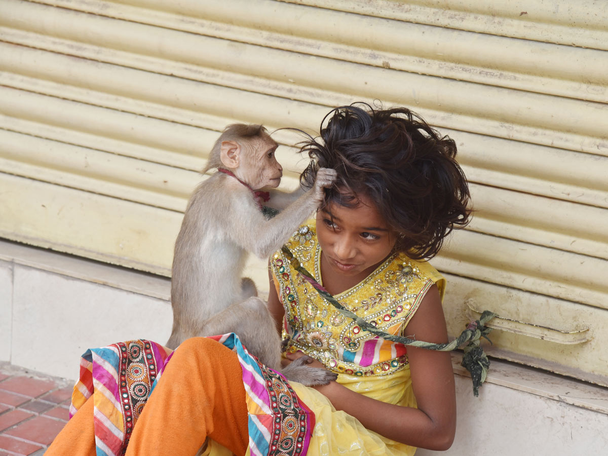 Best photos of the week may 10 to 17,2020 - Sakshi23