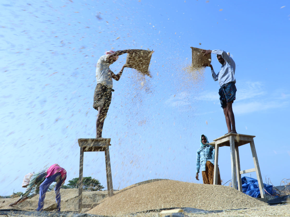 Best photos of the week may 10 to 17,2020 - Sakshi38