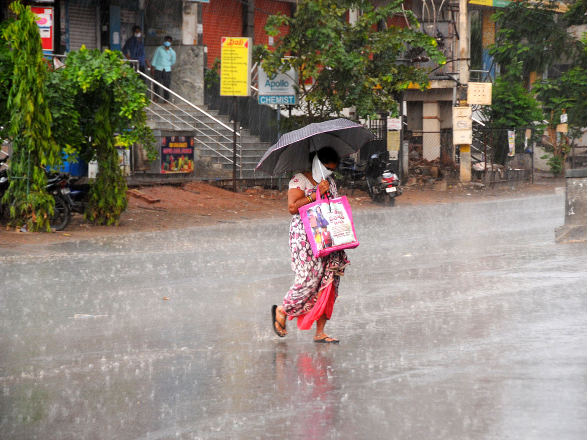 Best photos of the week may 10 to 17,2020 - Sakshi47