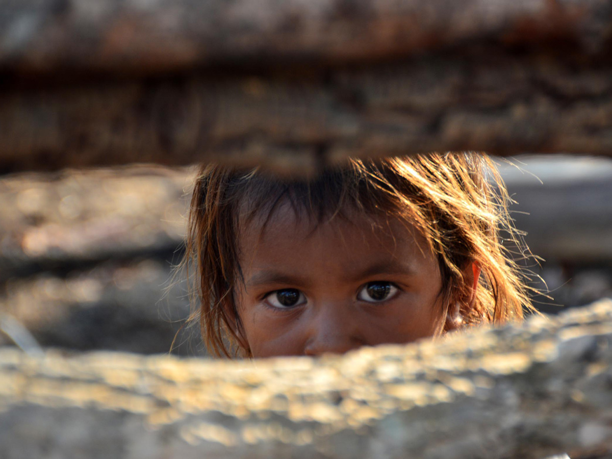 Best photos of the week may 17 to 24,2020 - Sakshi3