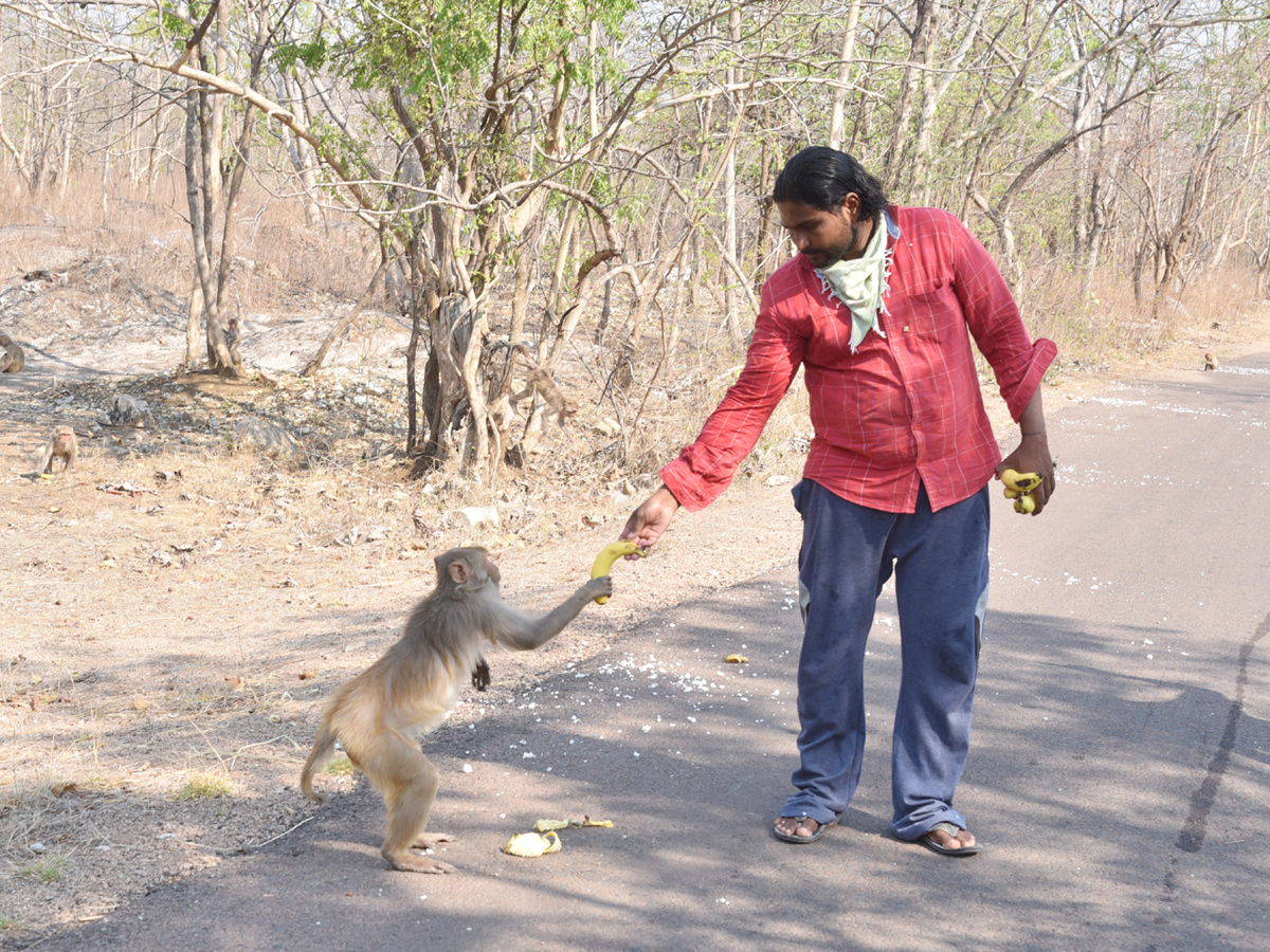 Best photos of the week may 17 to 24,2020 - Sakshi27