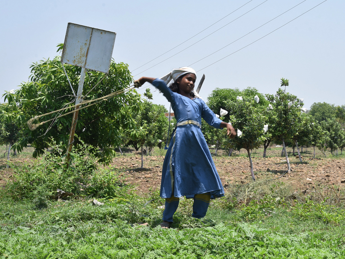 Best photos of the week may 17 to 24,2020 - Sakshi29