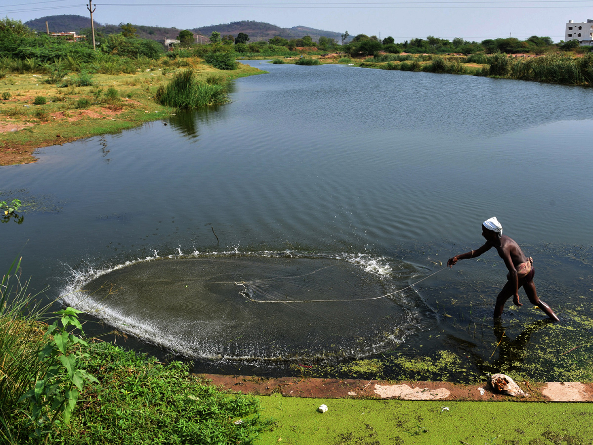 Best photos of the week may 17 to 24,2020 - Sakshi31