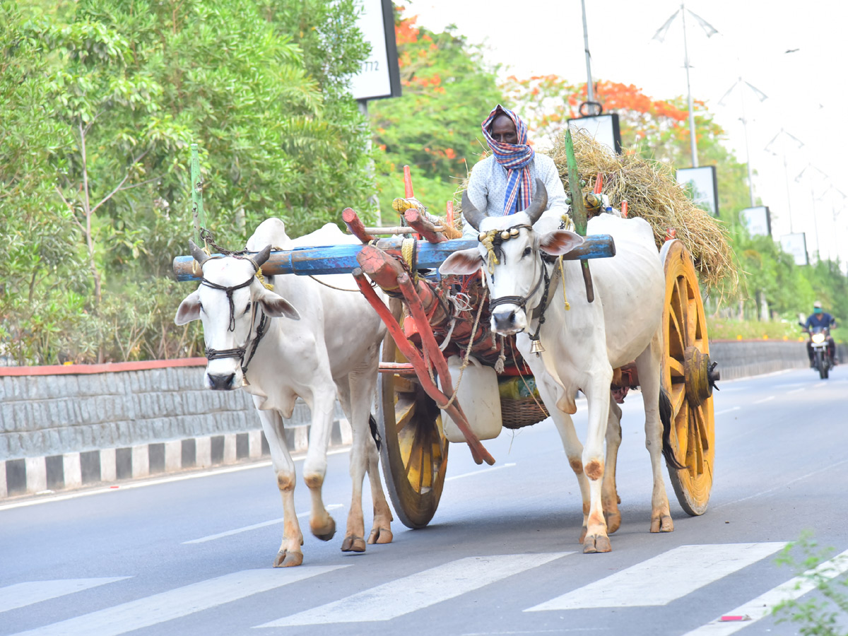 Best photos of the week may 17 to 24,2020 - Sakshi41