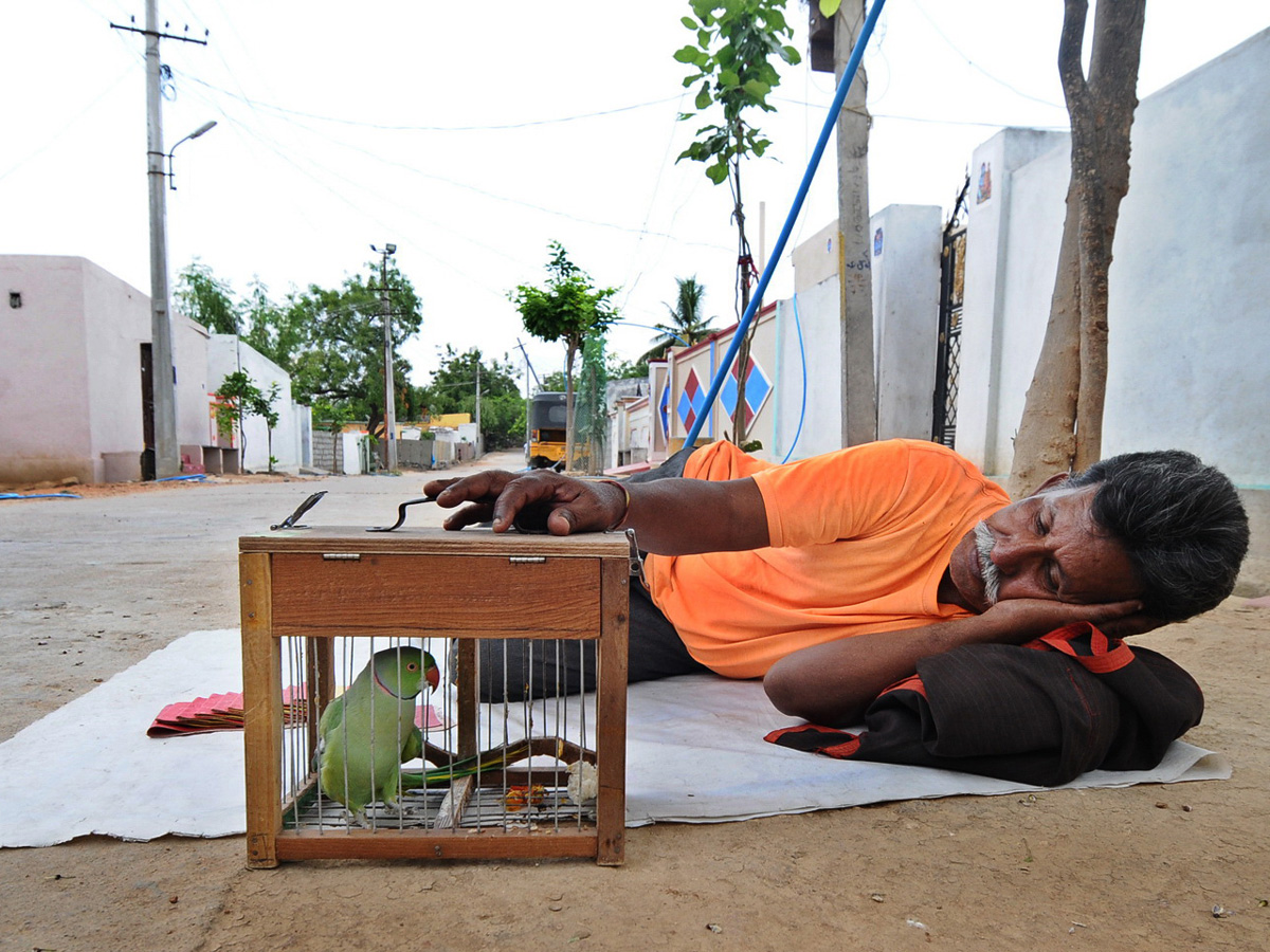 Best photos of the week may 03 to 10,2020 - Sakshi10