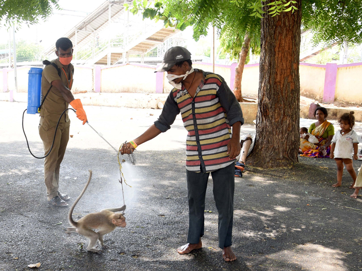 Best photos of the week may 03 to 10,2020 - Sakshi19