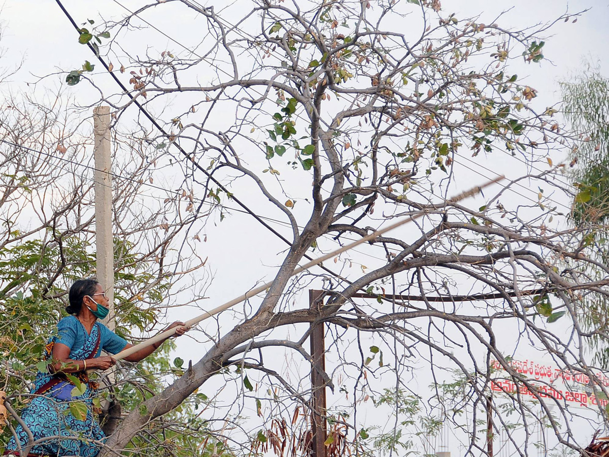 Best photos of the week may 03 to 10,2020 - Sakshi40