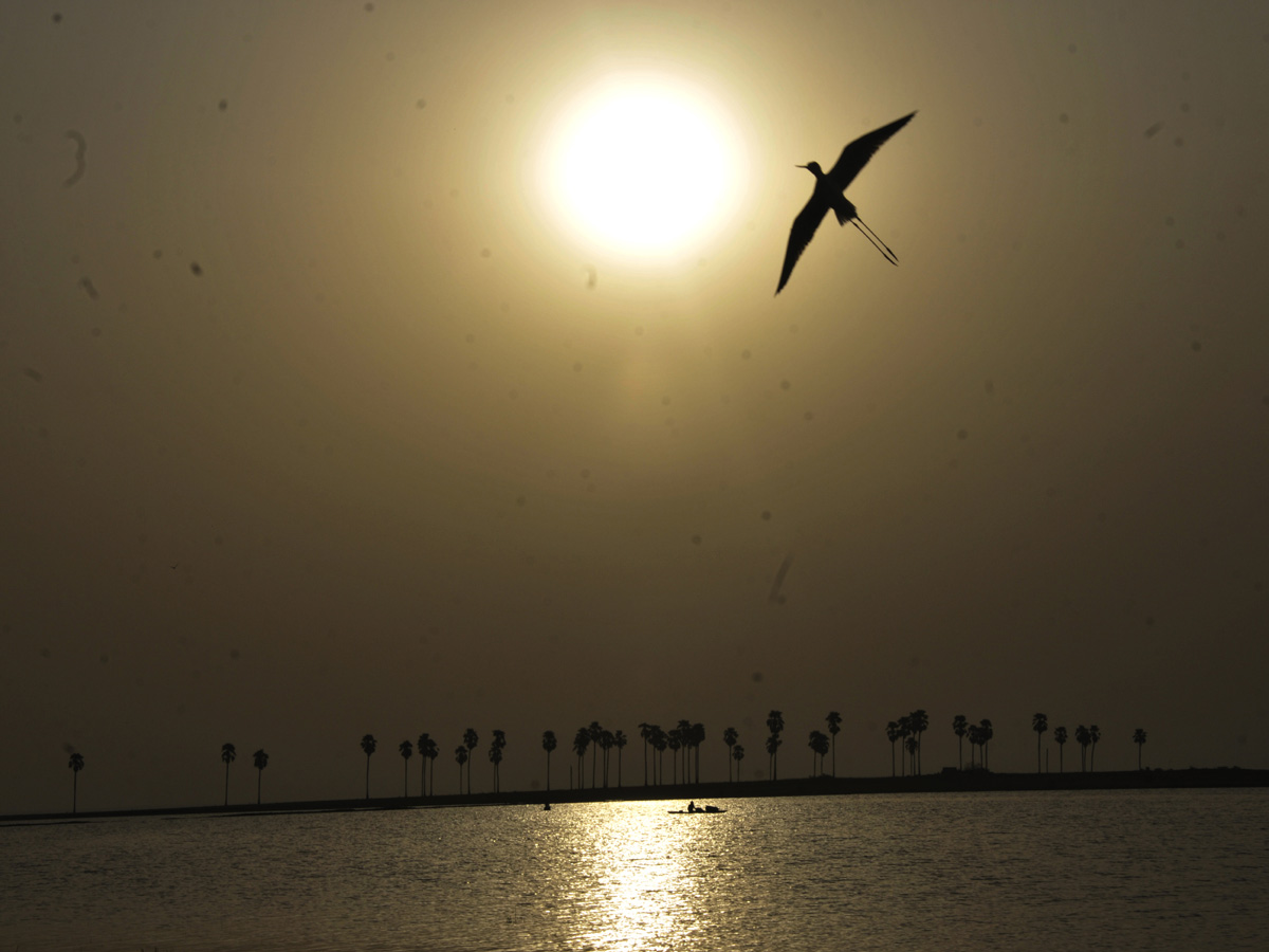 Best photos of the week may 31 to june 07,2020 - Sakshi4
