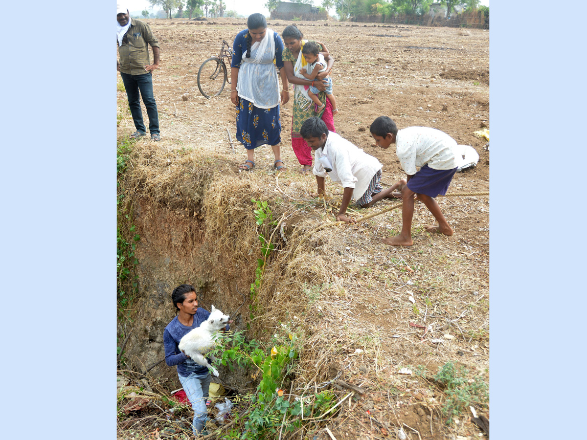 Best photos of the week may 31 to june 07,2020 - Sakshi5
