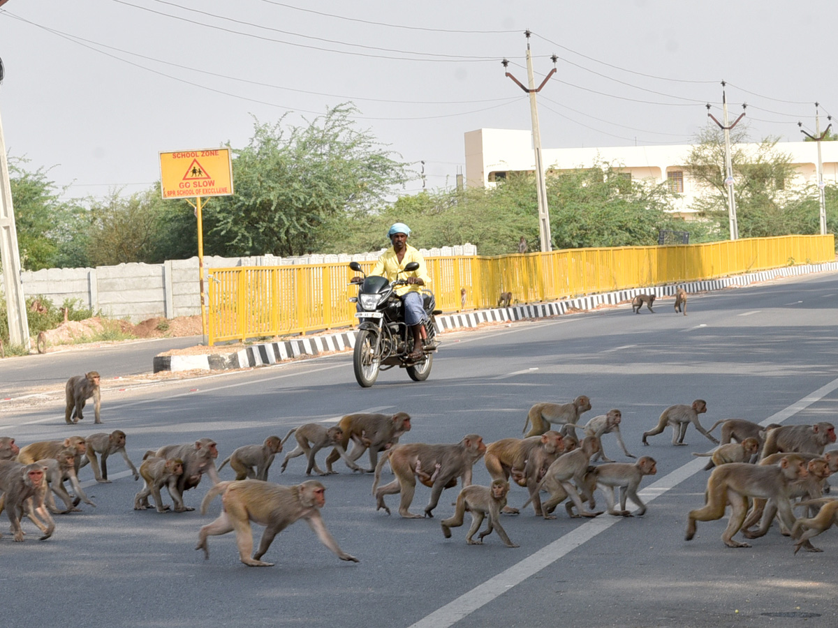 Best photos of the week may 31 to june 07,2020 - Sakshi50