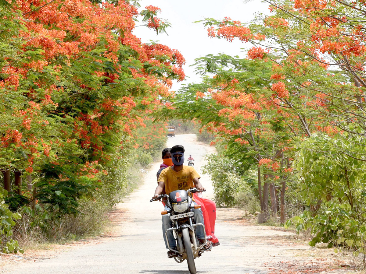Best photos of the week may 31 to june 07,2020 - Sakshi51