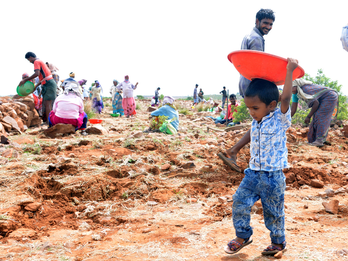 Best photos of the week june 21 to june 28,2020 - Sakshi11