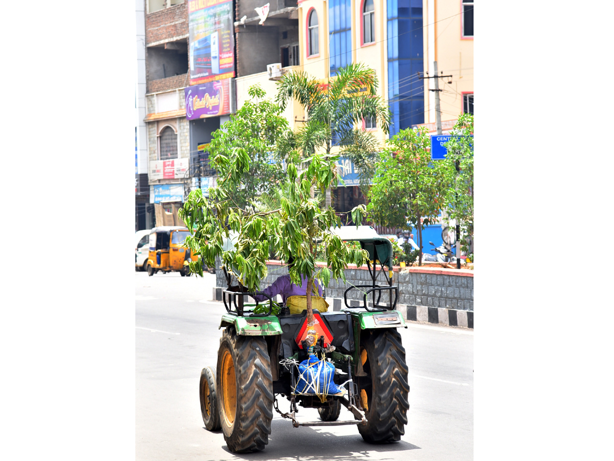 Best photos of the week june 21 to june 28,2020 - Sakshi37