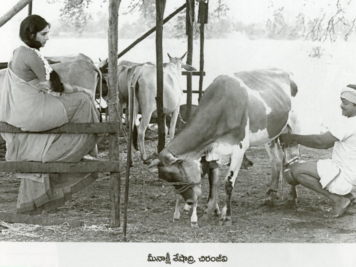 mega star chiranjeevi photos photo Gallery - Sakshi25