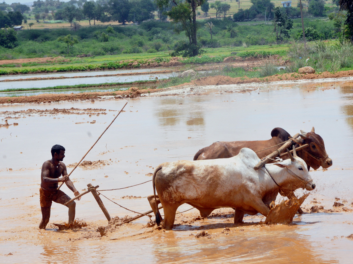 Best photos of the week june 28 to july 05,2020 - Sakshi14