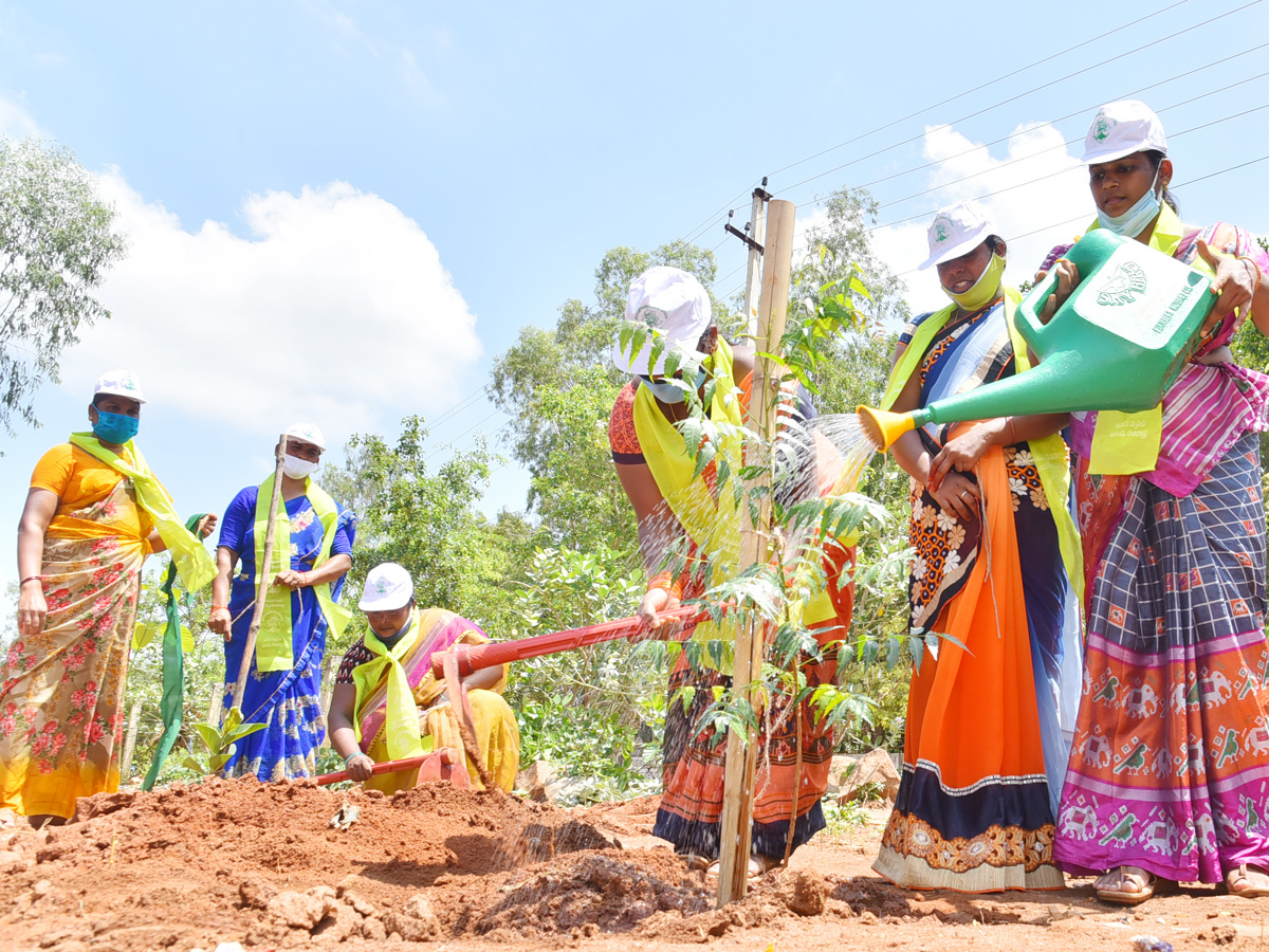 Best photos of the week june 28 to july 05,2020 - Sakshi29