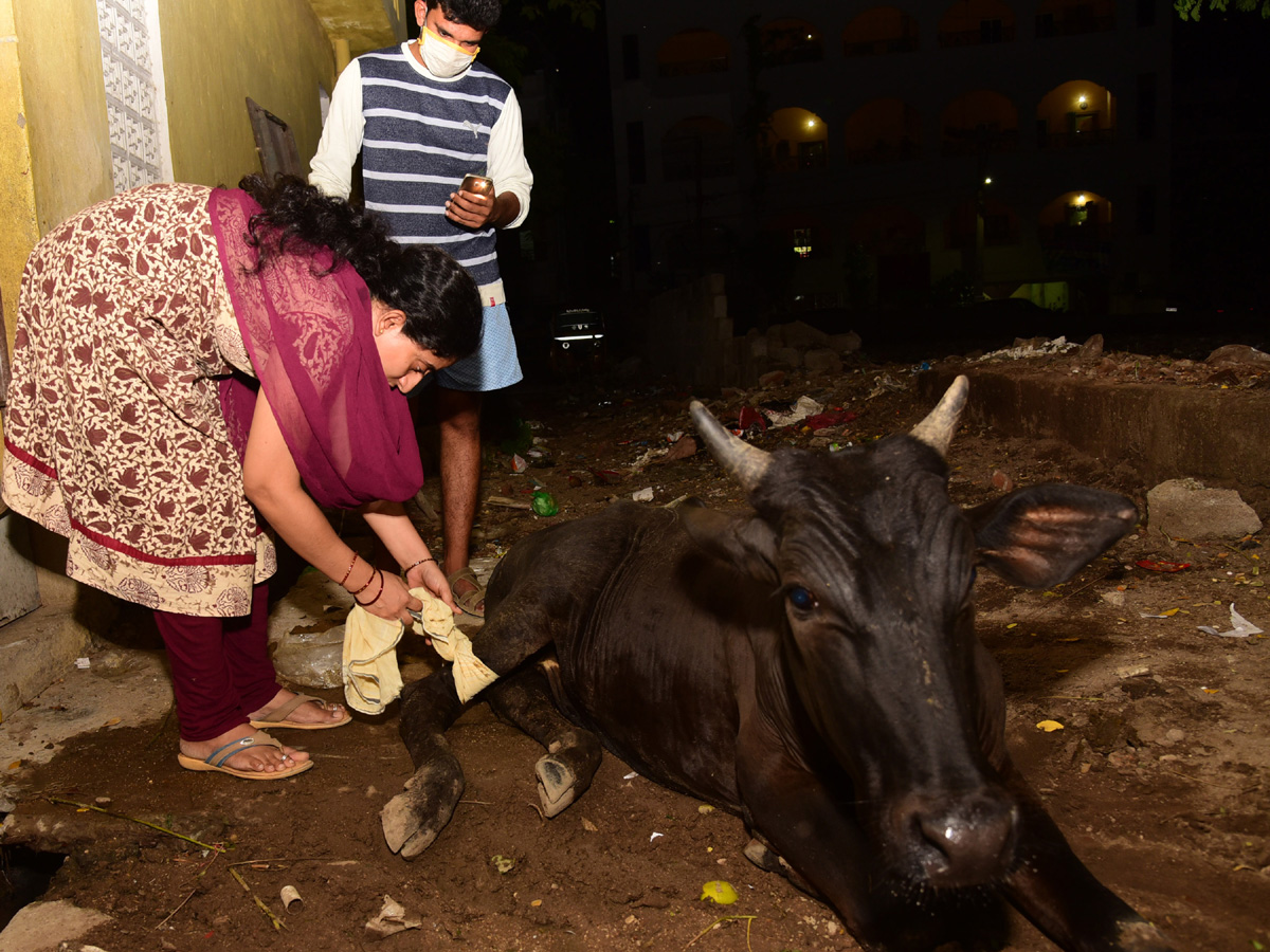 Best photos of the week june 28 to july 05,2020 - Sakshi36