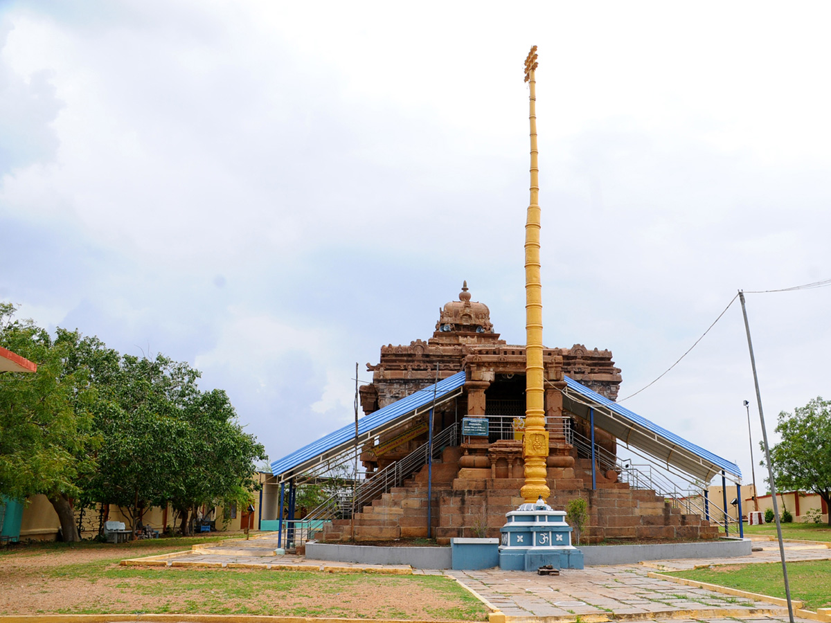 Best photos of the week june 28 to july 05,2020 - Sakshi43