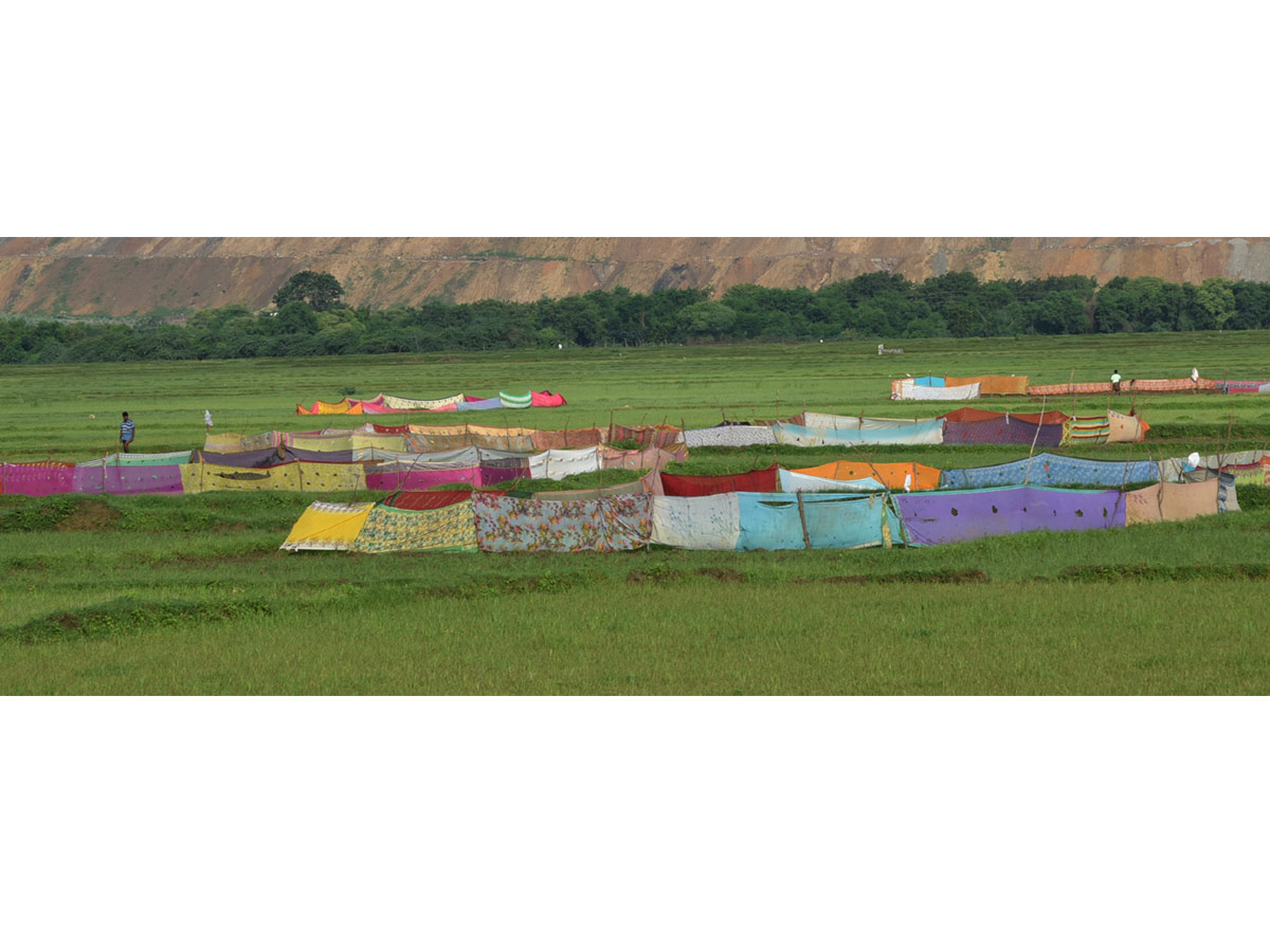 Best photos of the week july 26 to 02,2020 August - Sakshi18
