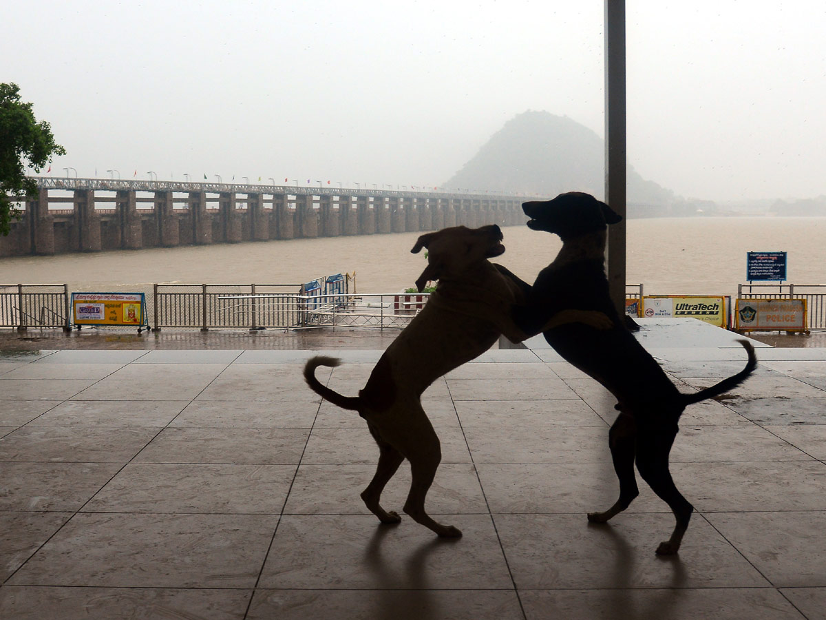 Best photos of the week july 26 to 02,2020 August - Sakshi36