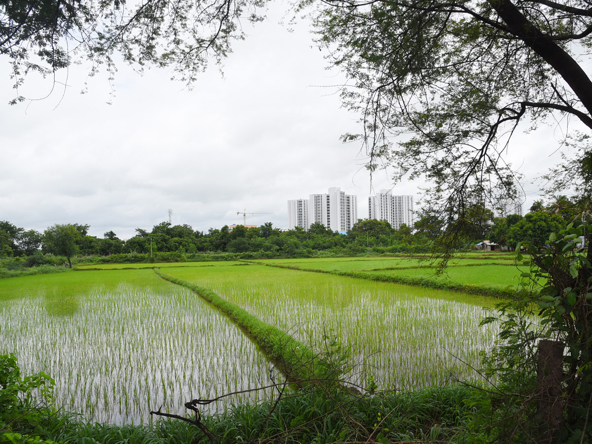 Best photos of the week july 26 to 02,2020 August - Sakshi39