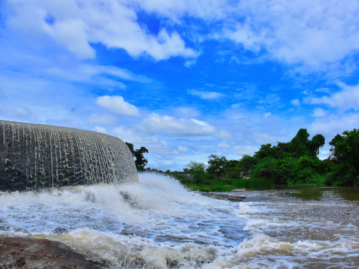 Best photos of the week july 26 to 02,2020 August - Sakshi41