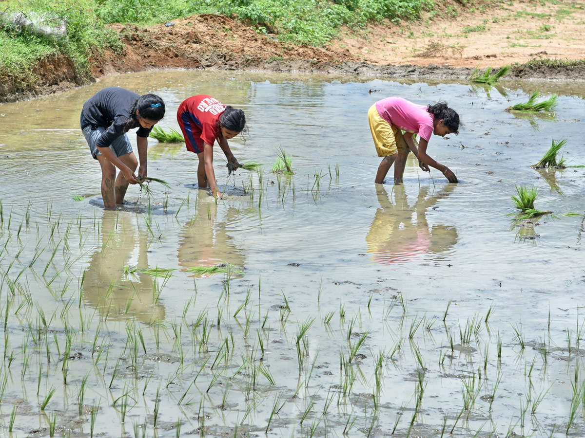 Best photos of the week july 26 to 02,2020 August - Sakshi42