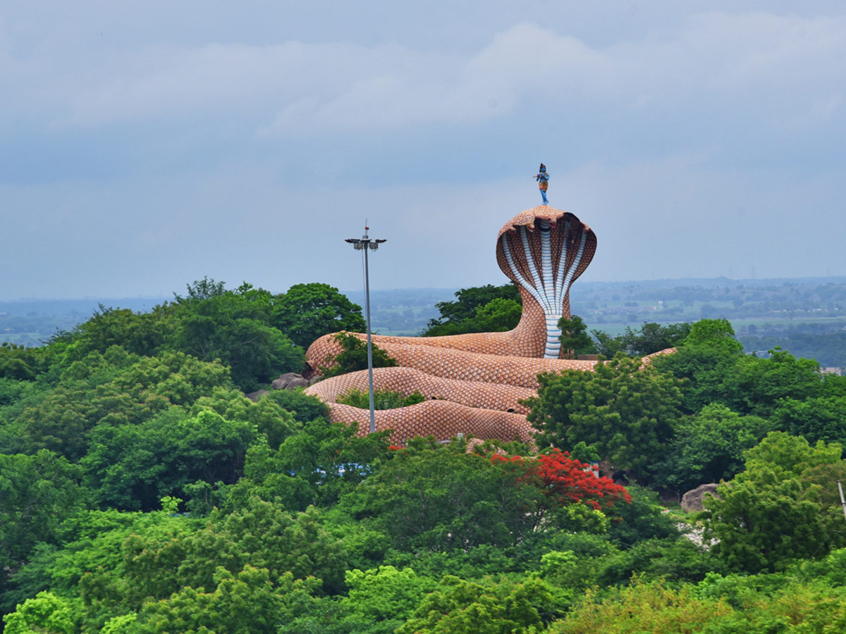 Best photos of the week july 26 to 02,2020 August - Sakshi43