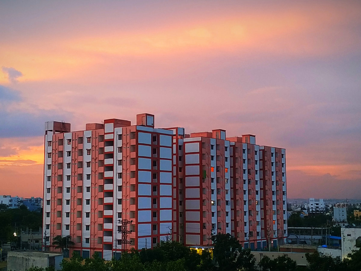 Best photos of the week july 26 to 02,2020 August - Sakshi45