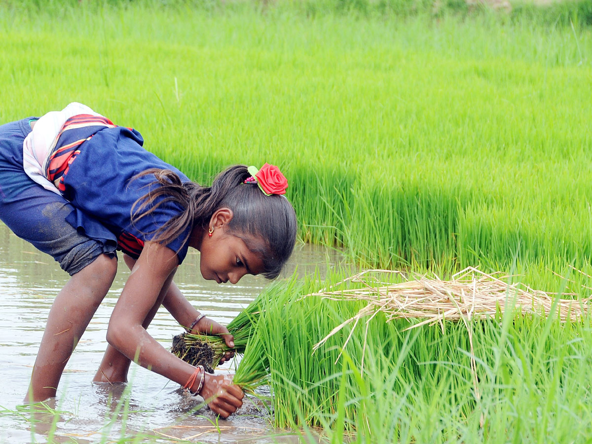 Best photos of the week july 26 to 02,2020 August - Sakshi56